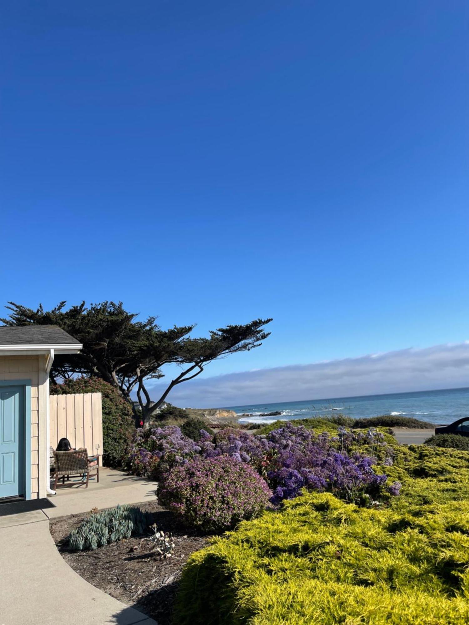 Cambria Landing Inn And Suites Kültér fotó